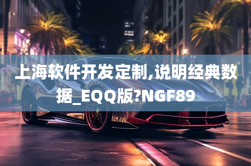 上海软件开发定制,说明经典数据_EQQ版?NGF89