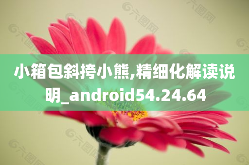 小箱包斜挎小熊,精细化解读说明_android54.24.64