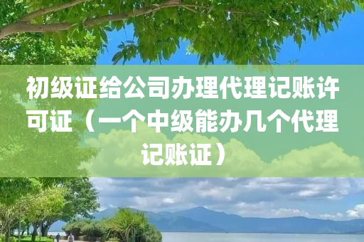 初级证给公司办理代理记账许可证（一个中级能办几个代理记账证）