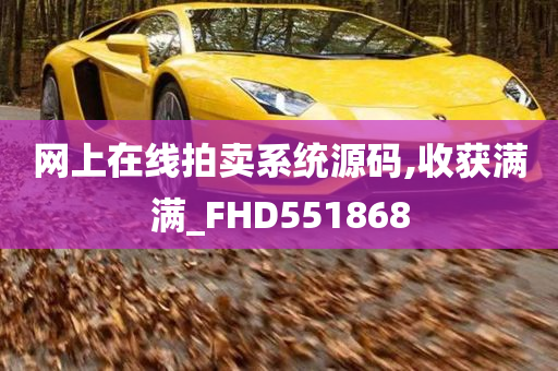 网上在线拍卖系统源码,收获满满_FHD551868