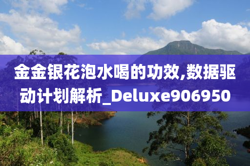 金金银花泡水喝的功效,数据驱动计划解析_Deluxe906950