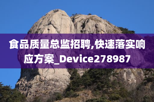 食品质量总监招聘,快速落实响应方案_Device278987