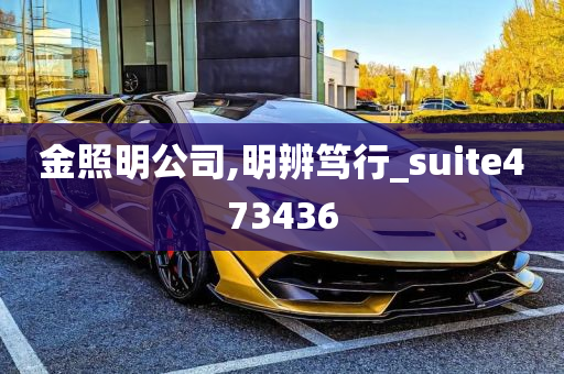 金照明公司,明辨笃行_suite473436