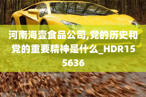 河南海壹食品公司,党的历史和党的重要精神是什么_HDR155636