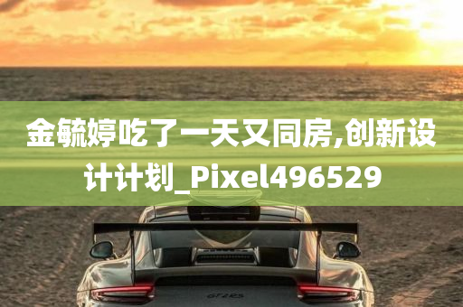 金毓婷吃了一天又同房,创新设计计划_Pixel496529