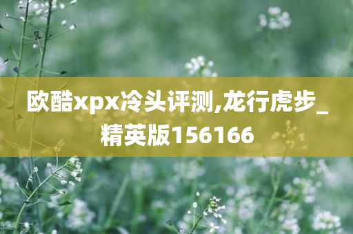 欧酷xpx冷头评测,龙行虎步_精英版156166