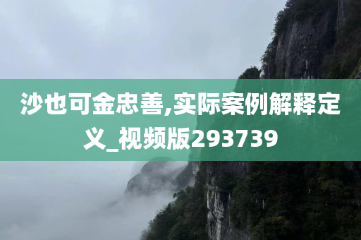 沙也可金忠善,实际案例解释定义_视频版293739