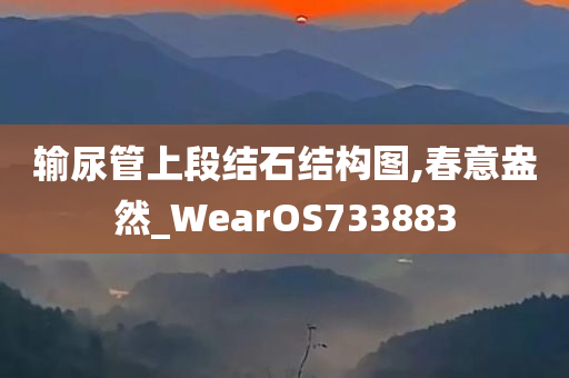 输尿管上段结石结构图,春意盎然_WearOS733883