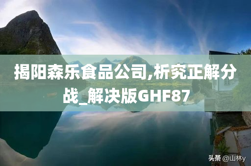 揭阳森乐食品公司,析究正解分战_解决版GHF87