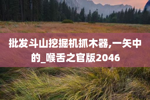 批发斗山挖掘机抓木器,一矢中的_喉舌之官版2046