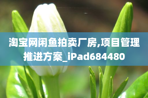 淘宝网闲鱼拍卖厂房,项目管理推进方案_iPad684480