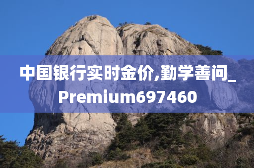 中国银行实时金价,勤学善问_Premium697460