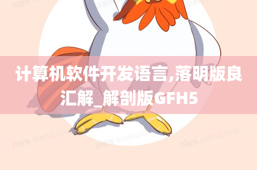 计算机软件开发语言,落明版良汇解_解剖版GFH5