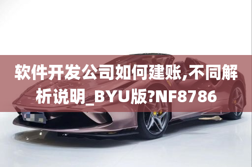 软件开发公司如何建账,不同解析说明_BYU版?NF8786