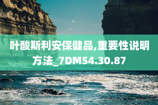 叶酸斯利安保健品,重要性说明方法_7DM54.30.87