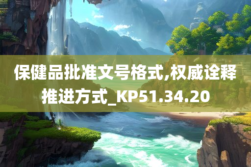 保健品批准文号格式,权威诠释推进方式_KP51.34.20