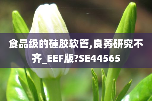 食品级的硅胶软管,良莠研究不齐_EEF版?SE44565