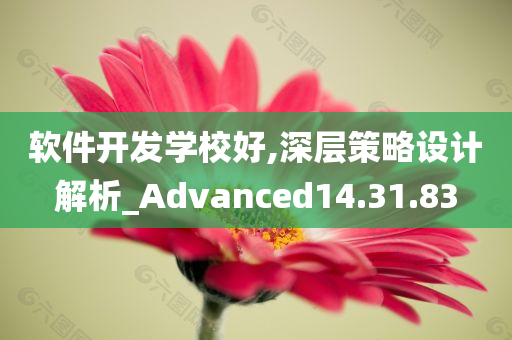 软件开发学校好,深层策略设计解析_Advanced14.31.83