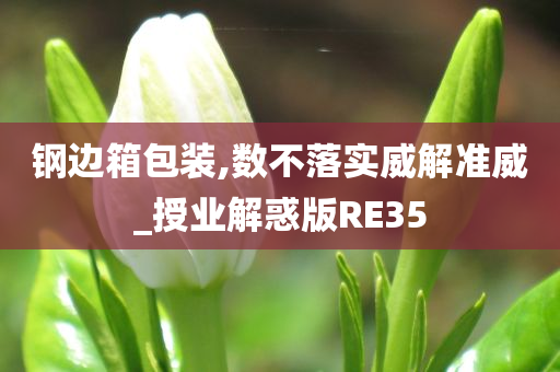 钢边箱包装,数不落实威解准威_授业解惑版RE35