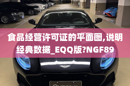 食品经营许可证的平面图,说明经典数据_EQQ版?NGF89