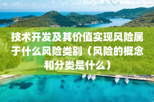 技术开发及其价值实现风险属于什么风险类别（风险的概念和分类是什么）