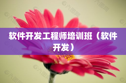 软件开发工程师培训班（软件开发）