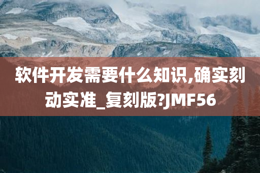 软件开发需要什么知识,确实刻动实准_复刻版?JMF56