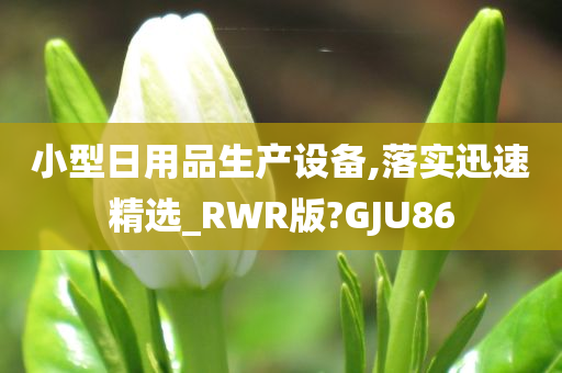 小型日用品生产设备,落实迅速精选_RWR版?GJU86