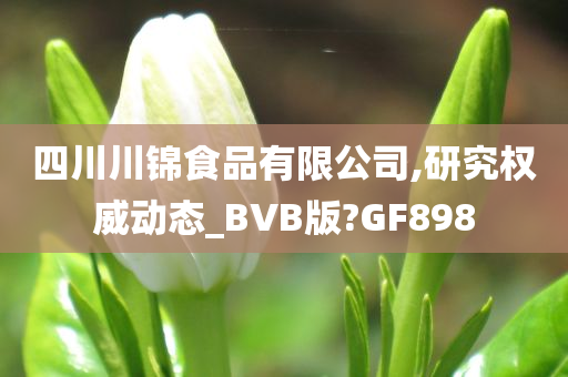 四川川锦食品有限公司,研究权威动态_BVB版?GF898