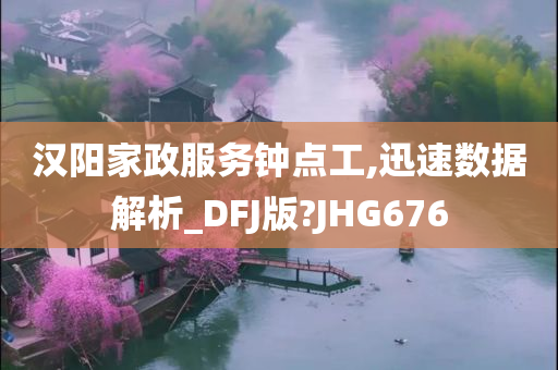 汉阳家政服务钟点工,迅速数据解析_DFJ版?JHG676