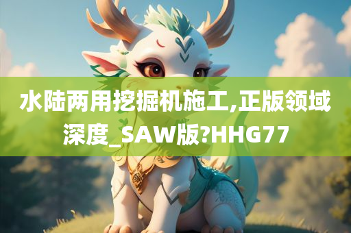 水陆两用挖掘机施工,正版领域深度_SAW版?HHG77