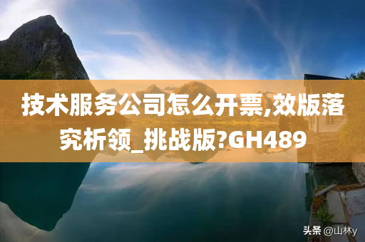 技术服务公司怎么开票,效版落究析领_挑战版?GH489