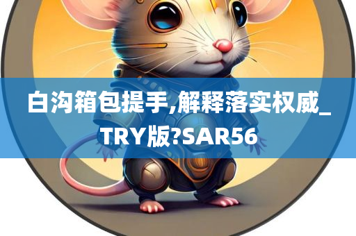 白沟箱包提手,解释落实权威_TRY版?SAR56