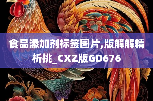 食品添加剂标签图片,版解解精析挑_CXZ版GD676