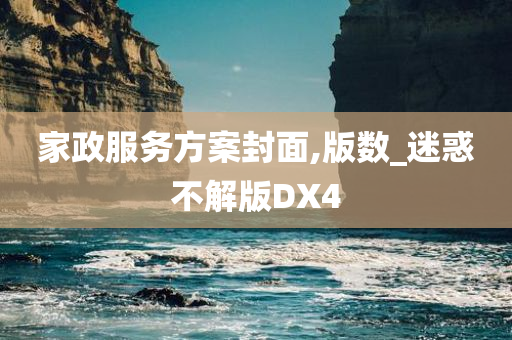 家政服务方案封面,版数_迷惑不解版DX4