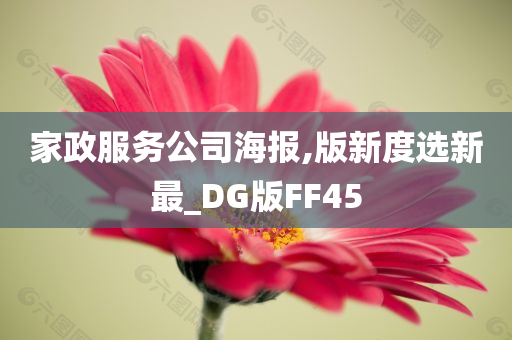 家政服务公司海报,版新度选新最_DG版FF45