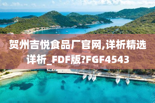 贺州吉悦食品厂官网,详析精选详析_FDF版?FGF4543