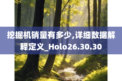 挖掘机销量有多少,详细数据解释定义_Holo26.30.30