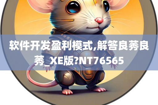 软件开发盈利模式,解答良莠良莠_XE版?NT76565