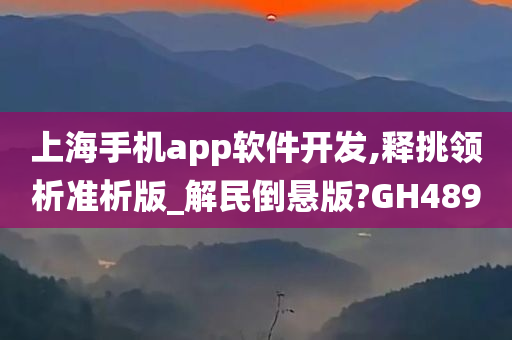 上海手机app软件开发,释挑领析准析版_解民倒悬版?GH489