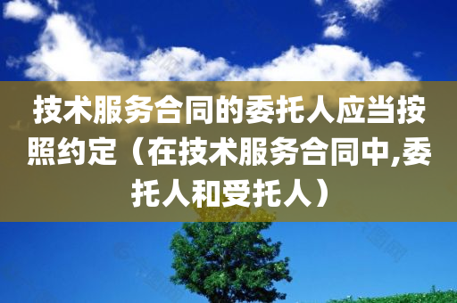 技术服务合同的委托人应当按照约定（在技术服务合同中,委托人和受托人）