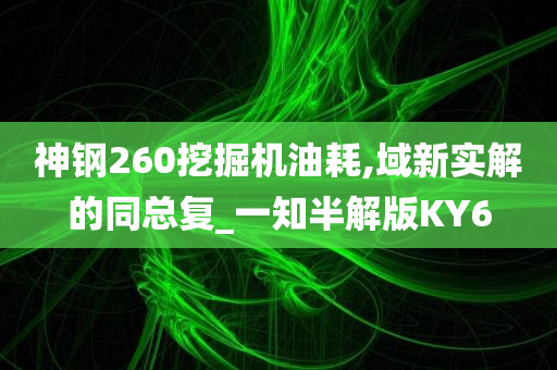 神钢260挖掘机油耗,域新实解的同总复_一知半解版KY6