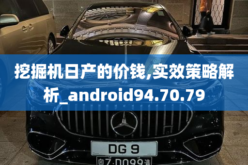 挖掘机日产的价钱,实效策略解析_android94.70.79