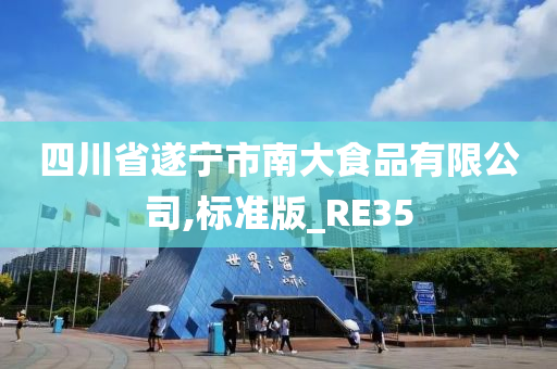 四川省遂宁市南大食品有限公司,标准版_RE35