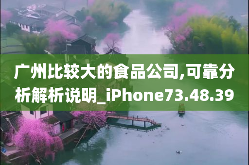 广州比较大的食品公司,可靠分析解析说明_iPhone73.48.39