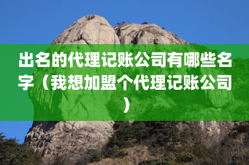 出名的代理记账公司有哪些名字（我想加盟个代理记账公司）