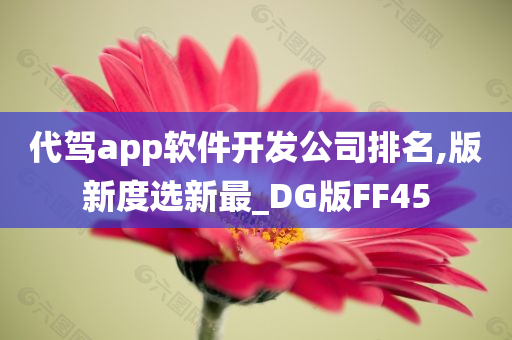 代驾app软件开发公司排名,版新度选新最_DG版FF45