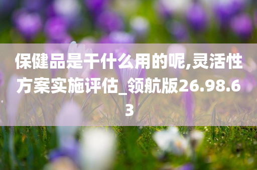 保健品是干什么用的呢,灵活性方案实施评估_领航版26.98.63