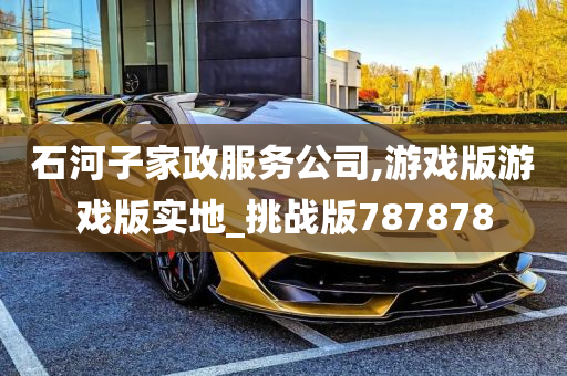 石河子家政服务公司,游戏版游戏版实地_挑战版787878