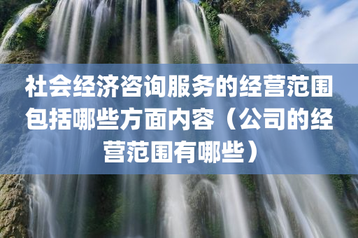 社会经济咨询服务的经营范围包括哪些方面内容（公司的经营范围有哪些）